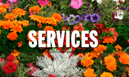 SERVICES